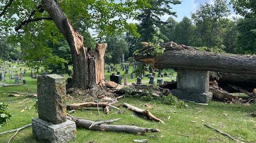 Storm damage reported in parts of eastern Ontario, western Quebec