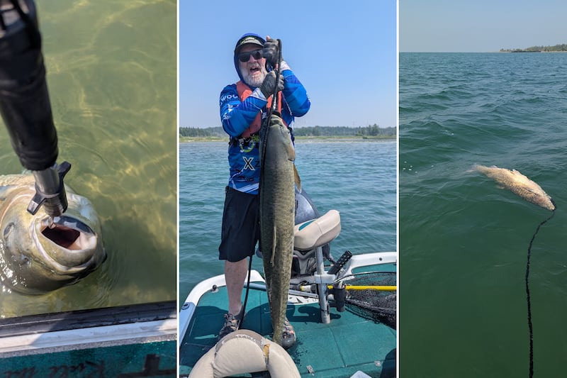 Ontario fisherman nabs one of the largest ‘invasive’ grass carps ever caught in Great Lakes