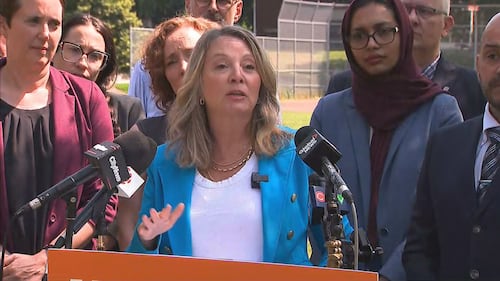 NDP slams Ontario school board takeovers as ‘power grab,’ say parents have no voice
