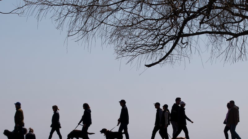 Which party leader will help young Canadians? Old and young disagree, Nanos poll finds 