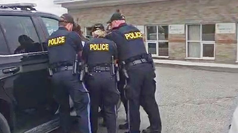 Ontario mother describes fending off woman trying to abduct her child