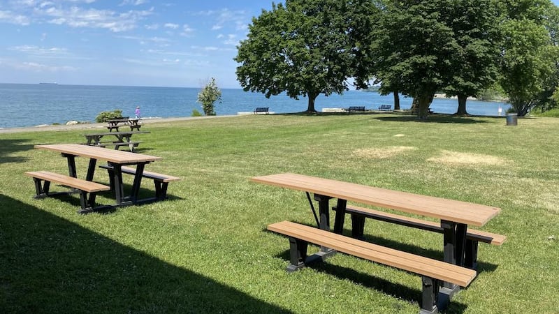 82-year-old man fatally struck by driver who stole his vehicle at Niagara area park