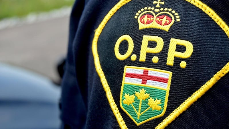Ottawa man, 20, drowns in St. Lawrence River: OPP
