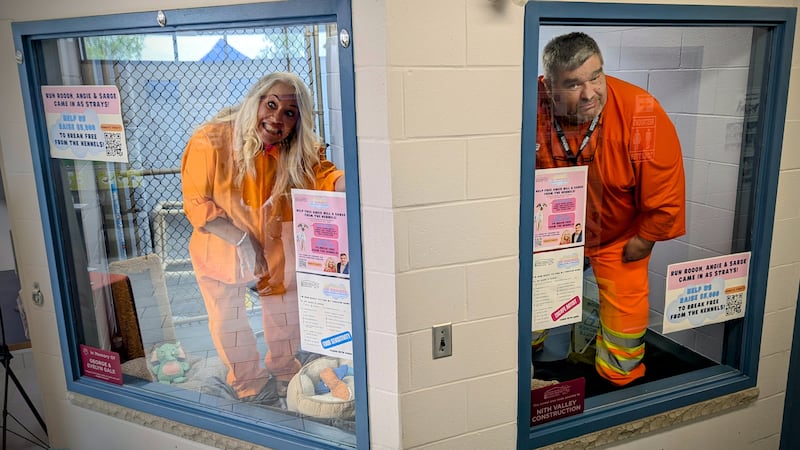 Operation Kennel Break: Local radio hosts raise money during Adopt-a-thon campaign at KWSP Humane Society 