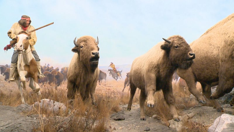 Manitoba Museum launches Indigenous language game