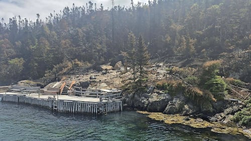 ‘Extreme wildfire behaviour’ forces evacuation of Newfoundland town