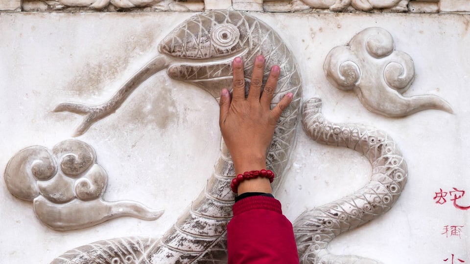 Lunar New Year: Manitoba to mark the Year of the Snake