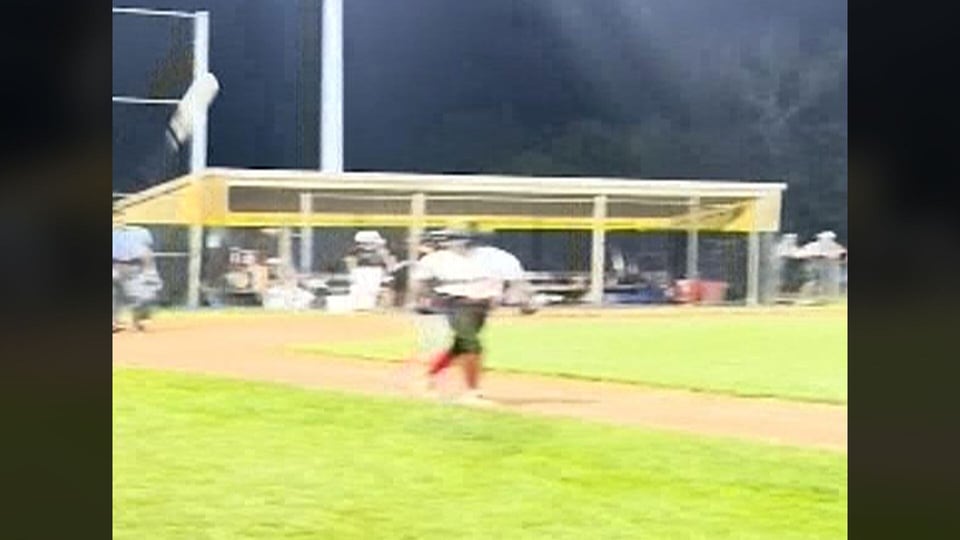 Little league player’s bat flip suspension thrown out by N.J. court