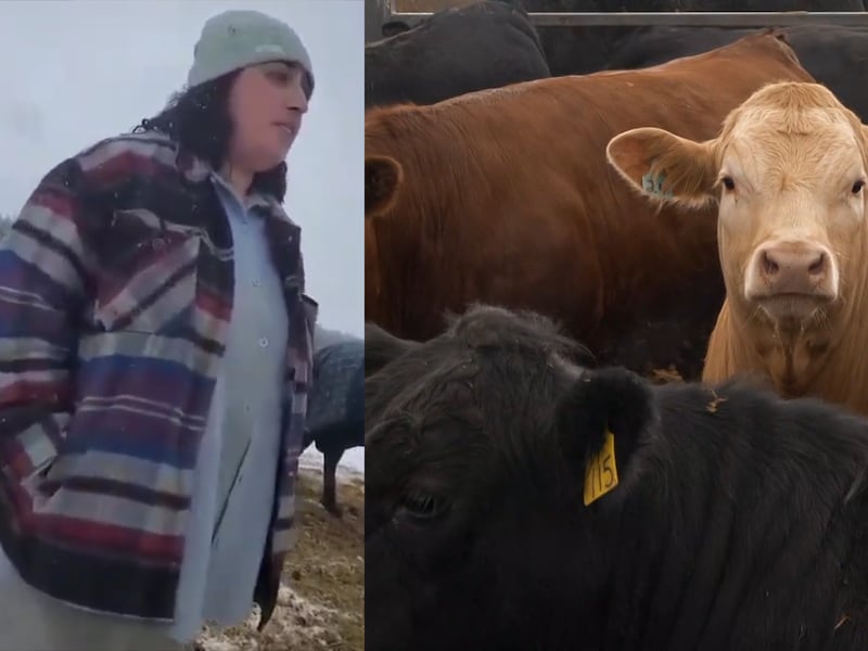 Ont. woman accused of animal abuse now facing fraud charges 