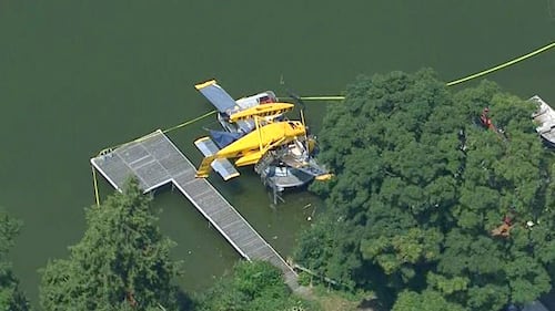 16-year-old boy dead after being hit by plane that crashed into dock in Lake Scugog