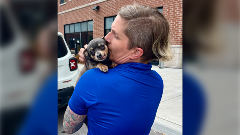 ‘Pawsitive Packs’ brings relief to pets in need this summer 