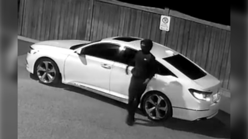 Male suspect wanted after shots fired at Vaughan business: police